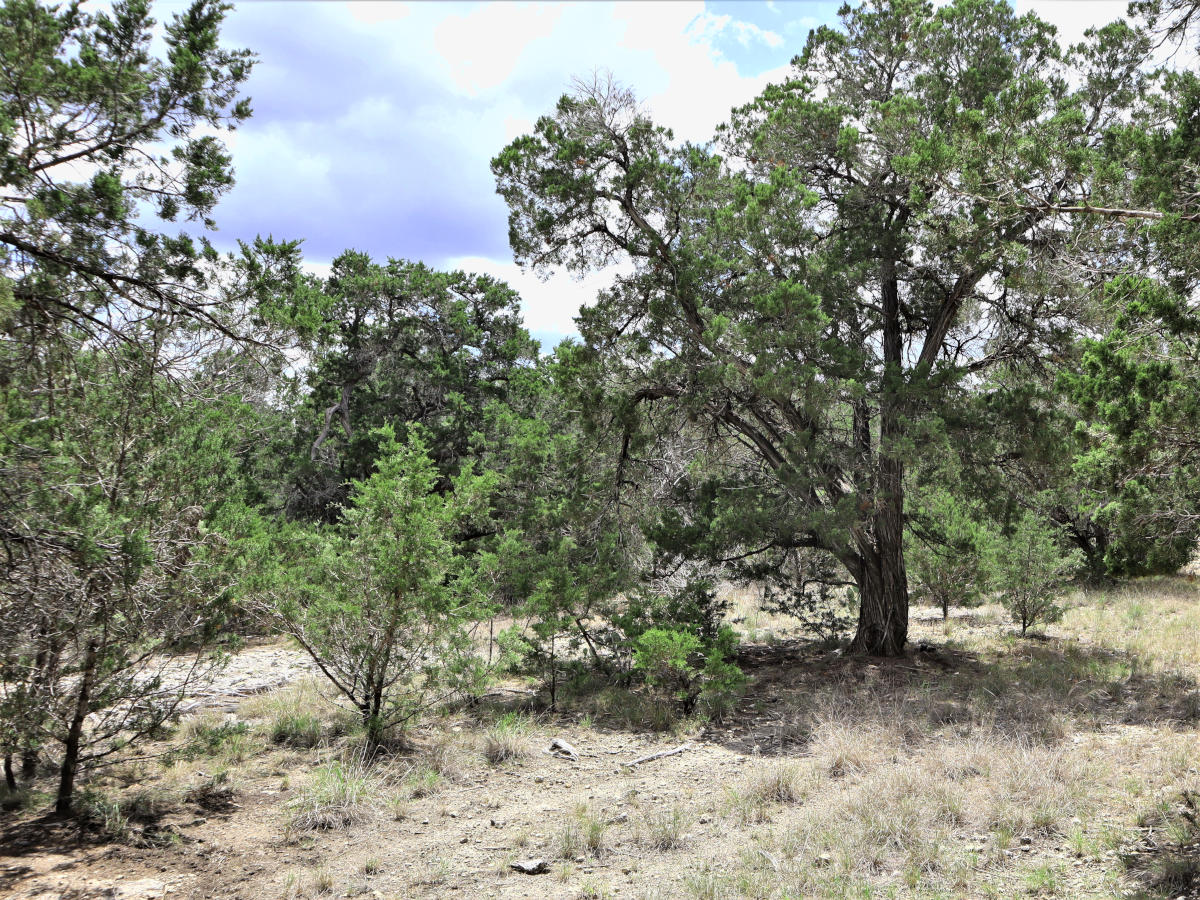 Comanche Cliffs Lot 141 for sale by Gail Stone Realty.