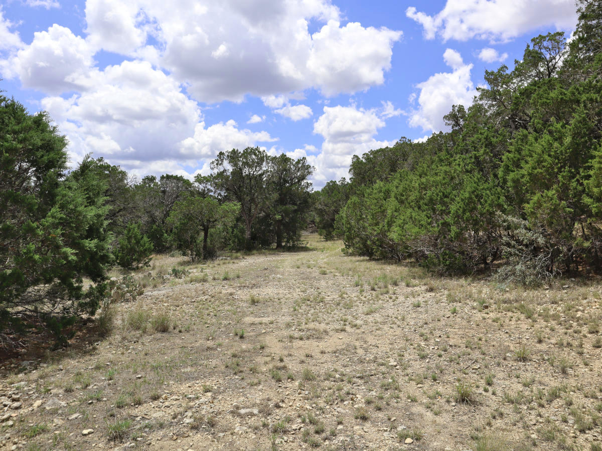 Comanche Cliffs Lot 141 for sale by Gail Stone Realty.
