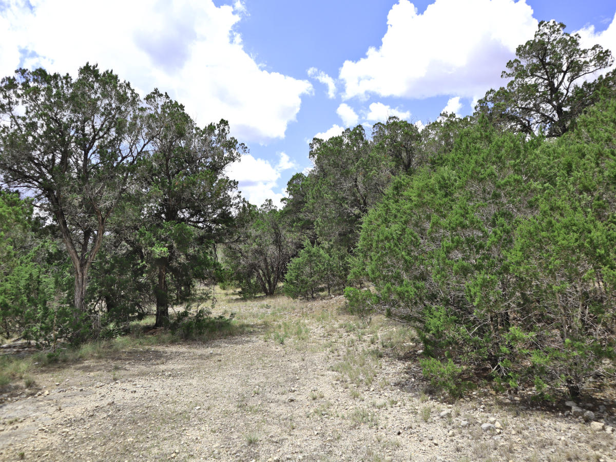 Comanche Cliffs Lot 141. Listed by Gail Stone Realty 830-796-4640