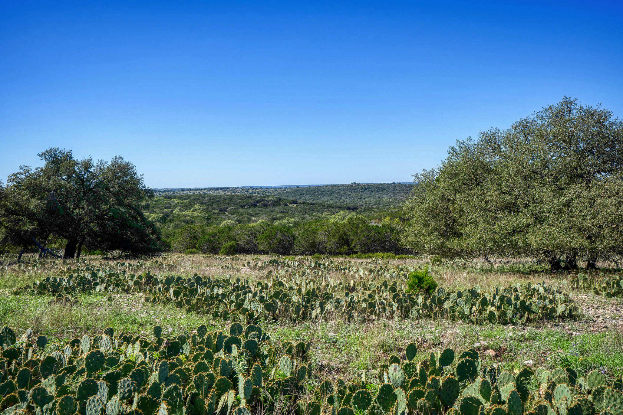 205 Acres in Hunt TX.  Listed with Gail Stone Realty in Bandera, TX. 830-796-4640